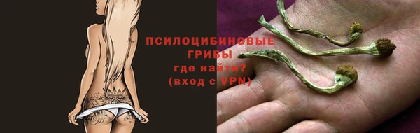 шишки Краснотурьинск