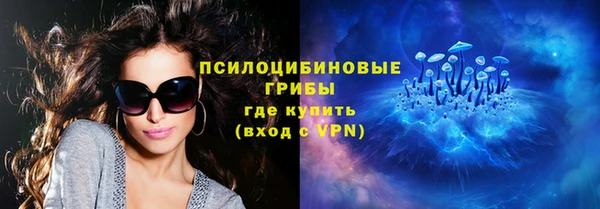 шишки Краснотурьинск