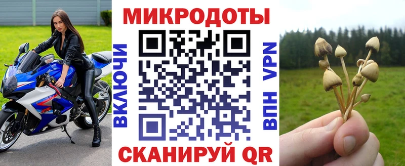 Псилоцибиновые грибы мицелий  Купить закладки  Сальск 
